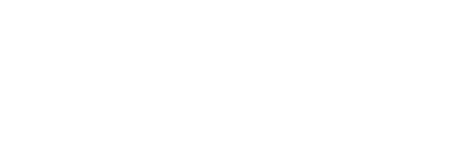 Logo WordCamp Torino 2026